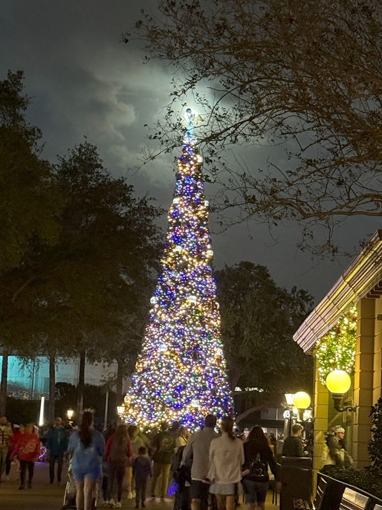 Epcot Christmas Tree, lit up, at night